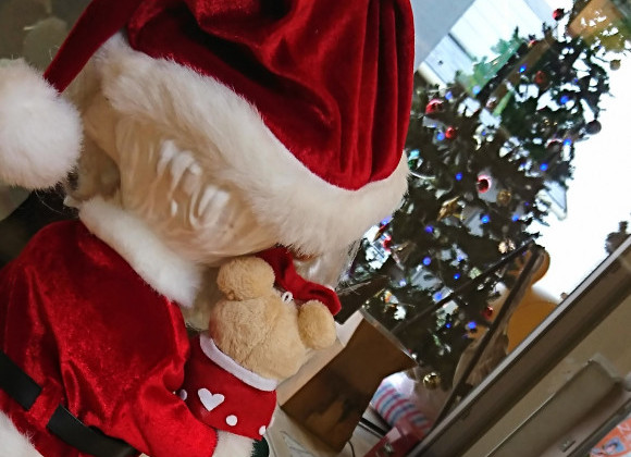 12月です☆ガレージにツリー☆出しました☆