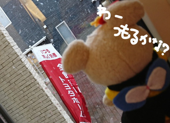 宇都宮市西原町に新商品の平屋が完成‼