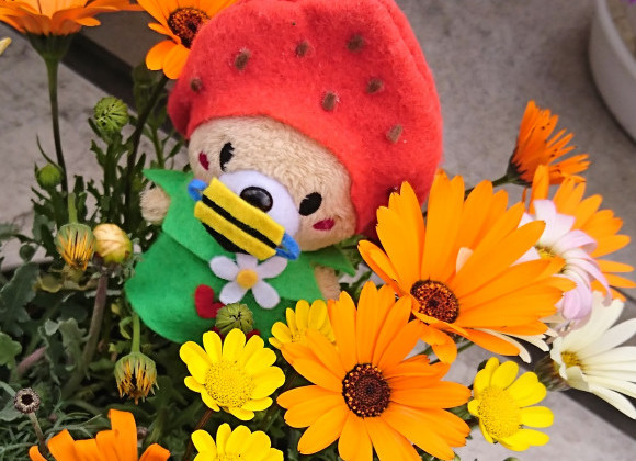 3/19のおうちdeセミナー~工場で家を作る⁉編~ ご好評につき、特別公開します‼