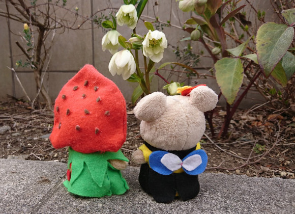 トヨタホーム北関東カンパニー公式SNSフォローをお願いします。