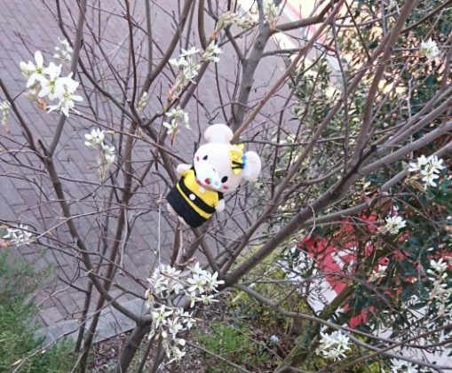 住まいのアンケートプレゼントキヤンペーン♪　アンケートに答えていただけたら嬉しいです☻