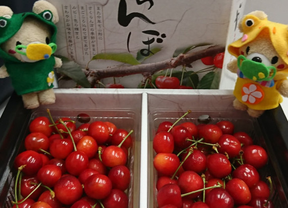 第2次応募　建築資金券プレゼントキヤンペーン残り1日☆