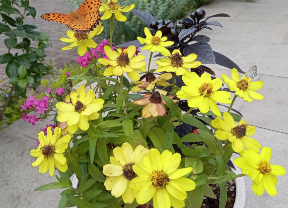 ☆再☆NewLQの3Dバーチャル見学!