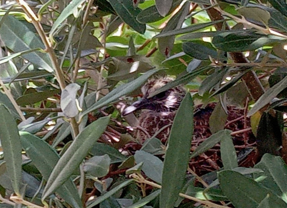 10月ですね。 住まいのアンケートプレゼントキヤンペーン