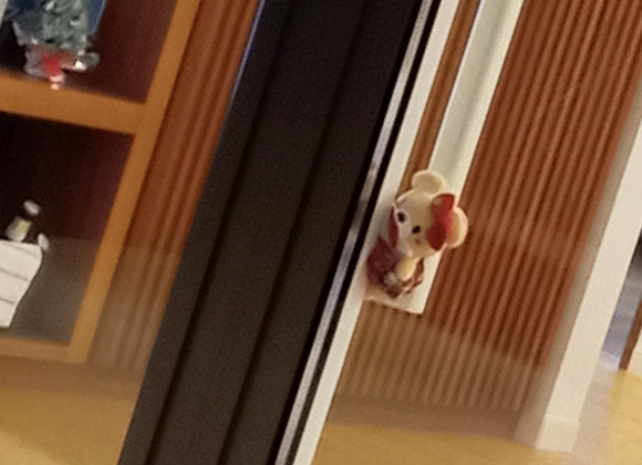 寒さに負けずに‼