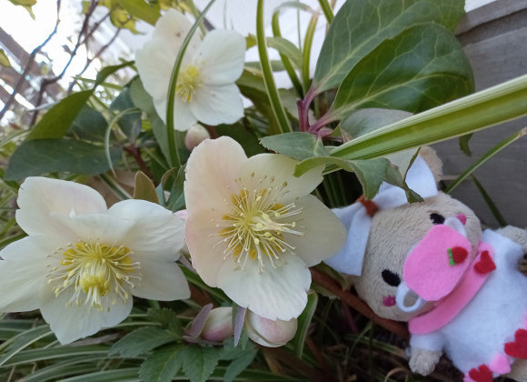 今週の(土)(日)2日間インテリアフェア開催