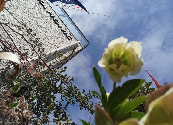 ❀再❀トヨタホームのタイルのお家