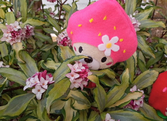 春を感じる３月後半❀・゜・。食欲の春たわいのないはなし❀