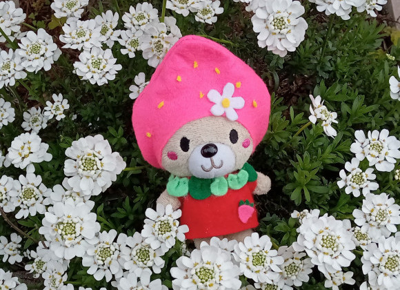 ❀４月ですね❀春本番❀・゜・。