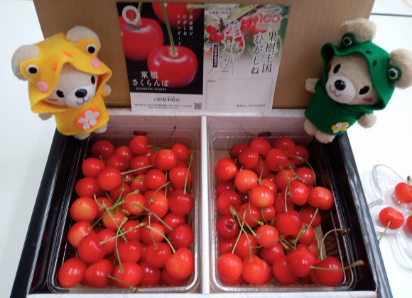 ☆SUMMERキャンペーン☆