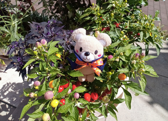 ９月が終わる…今月末までのキャンペーンおまとめ☆