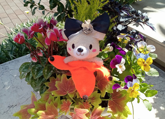 住まいのアンケートプレゼントキャンペーン