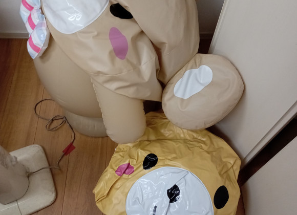 再 今週のイベントお知らせ‼ ベルモール展示場大きなチェッくまさん不在(;_;)