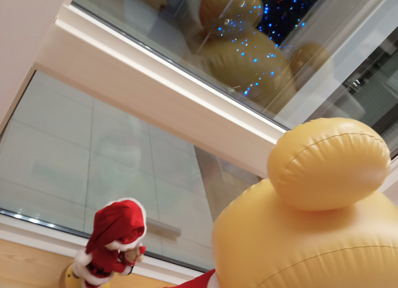 今年も出しました♪でも…何かおかしい?