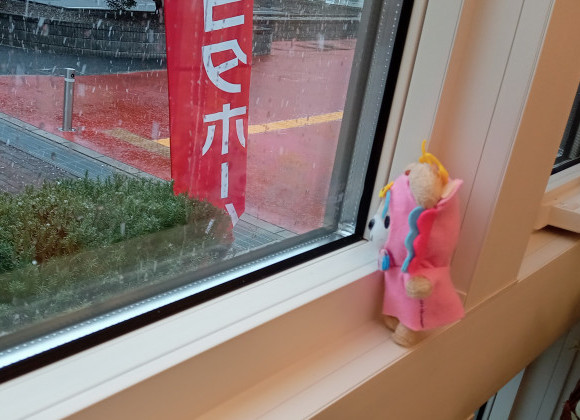 降りました☆雪