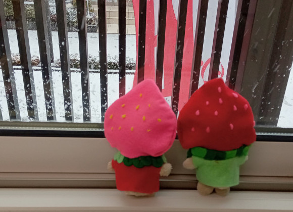 キャンペーンのお知らせ❁