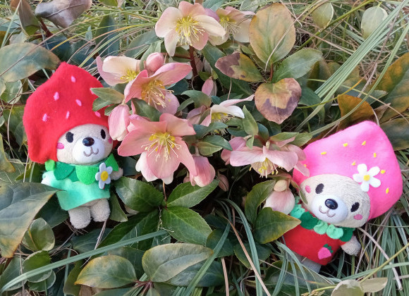 今週は、、、雑談の日